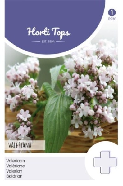 11230 valeriana3